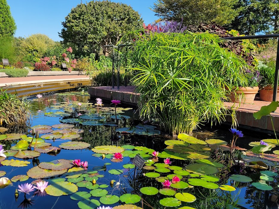 Chicago Botanic Garden küçük fotoğraf 3