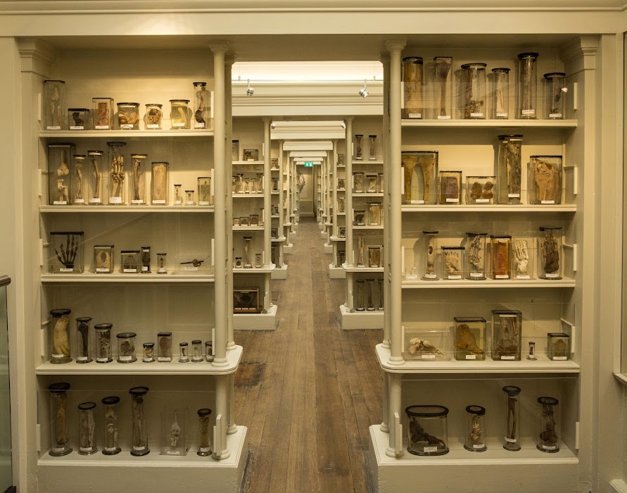 Surgeons' Hall Museum küçük fotoğraf 4