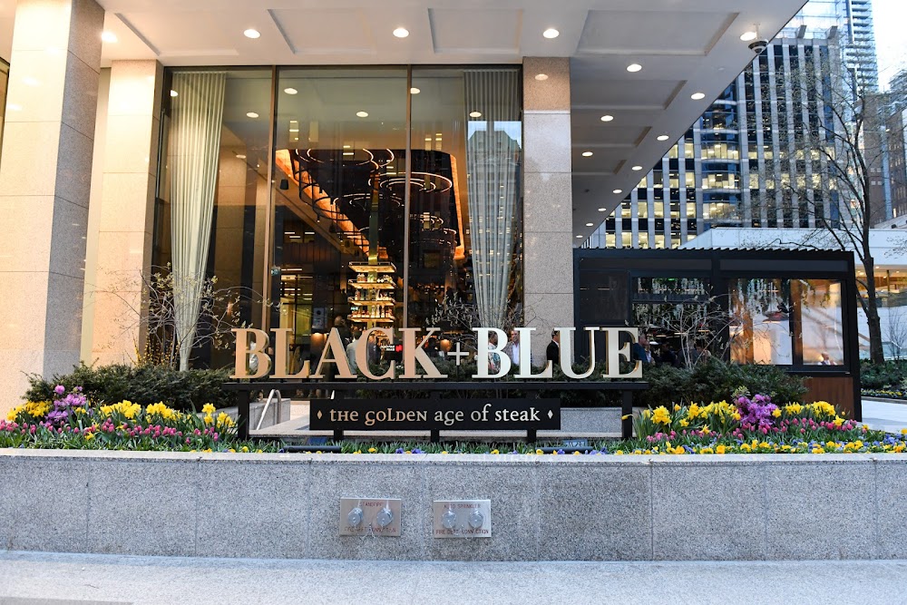 Black+Blue Toronto küçük fotoğraf 2