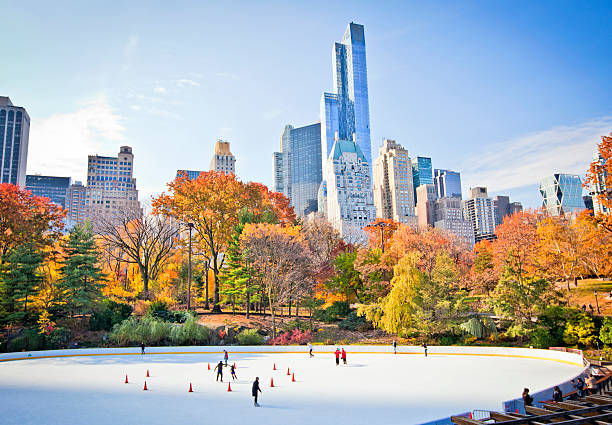 Central Park küçük fotoğraf 2