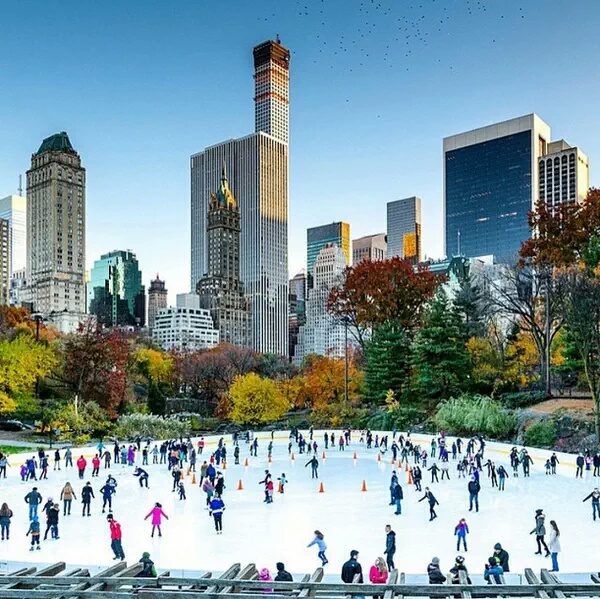 Central Park küçük fotoğraf 3