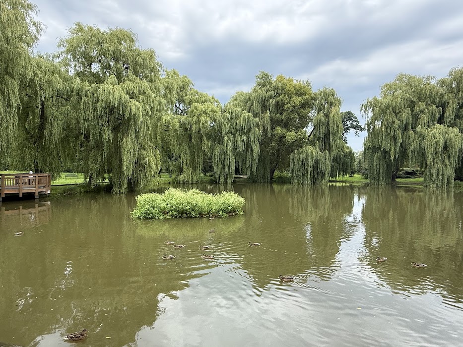 Park Oruński im. Emilii Hoene küçük fotoğraf 3