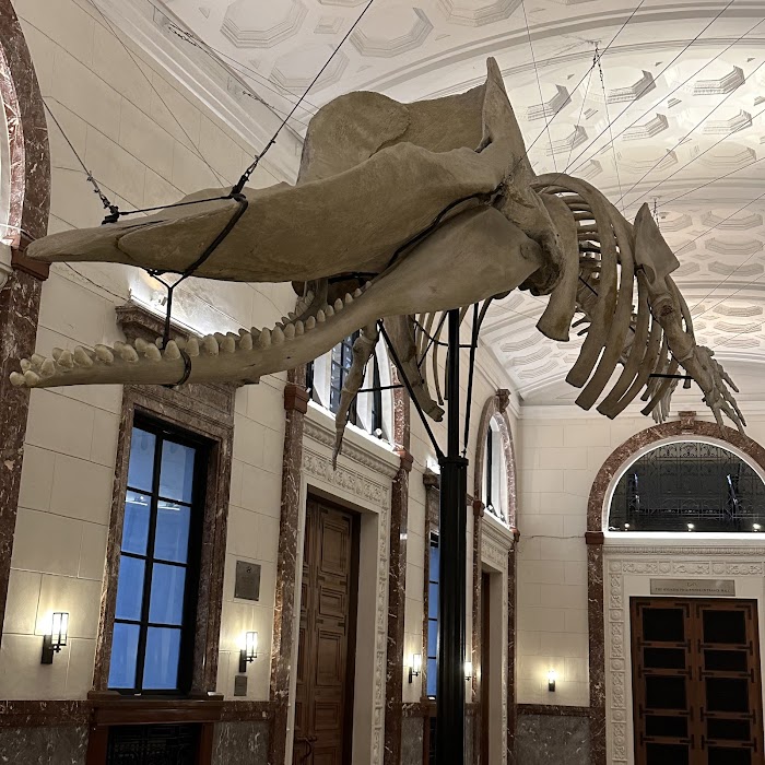 National Museum of Natural History küçük fotoğraf 4