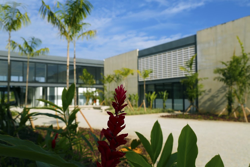 Museu do Pontal küçük fotoğraf 3