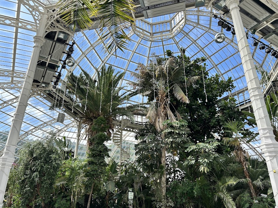 Sefton Park Palm House küçük fotoğraf 3