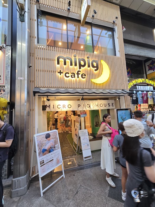 mipig cafe 京都店 küçük fotoğraf 2
