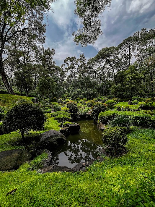 Bosque Los Colomos II Patria küçük fotoğraf 3