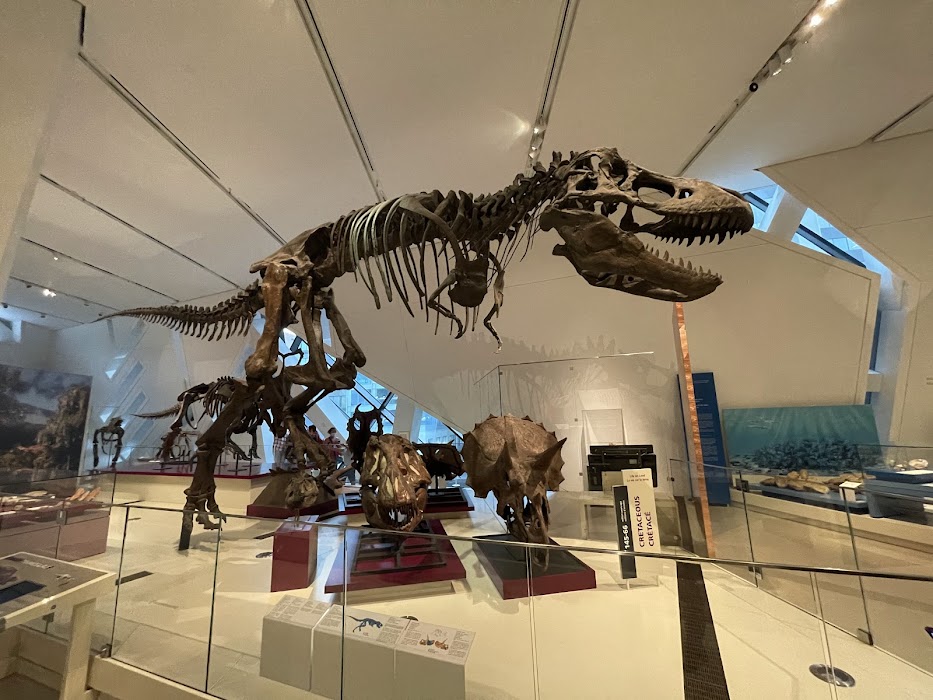 Royal Ontario Museum küçük fotoğraf 3
