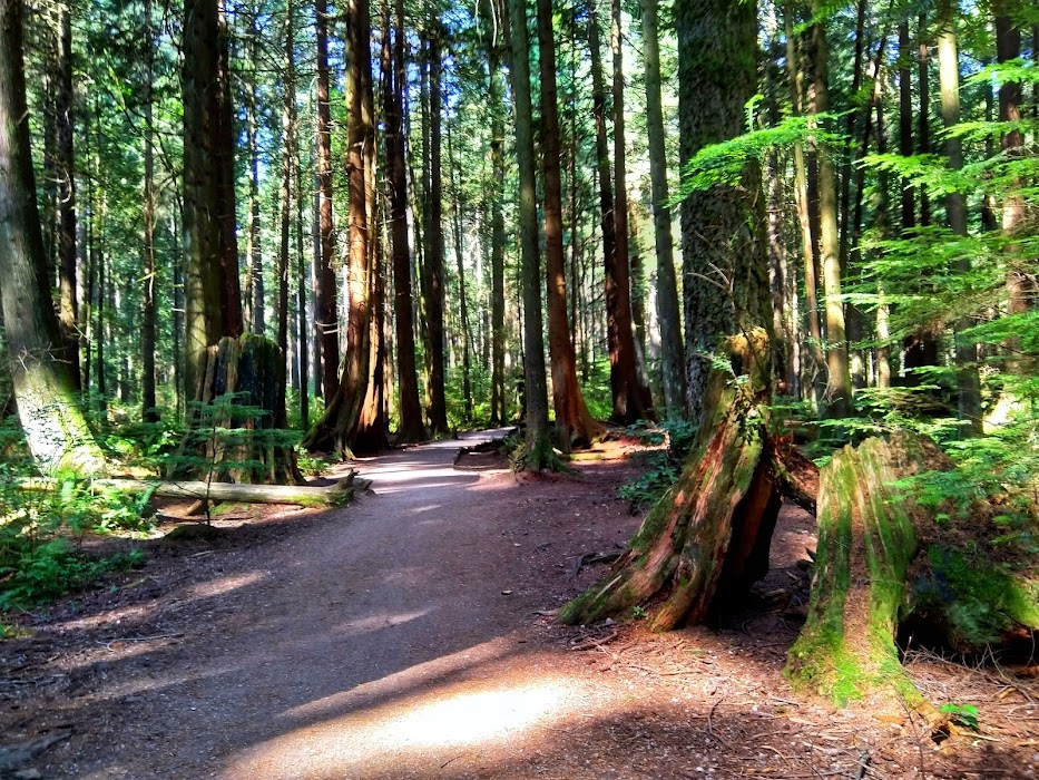 Pacific Spirit Regional Park küçük fotoğraf 2