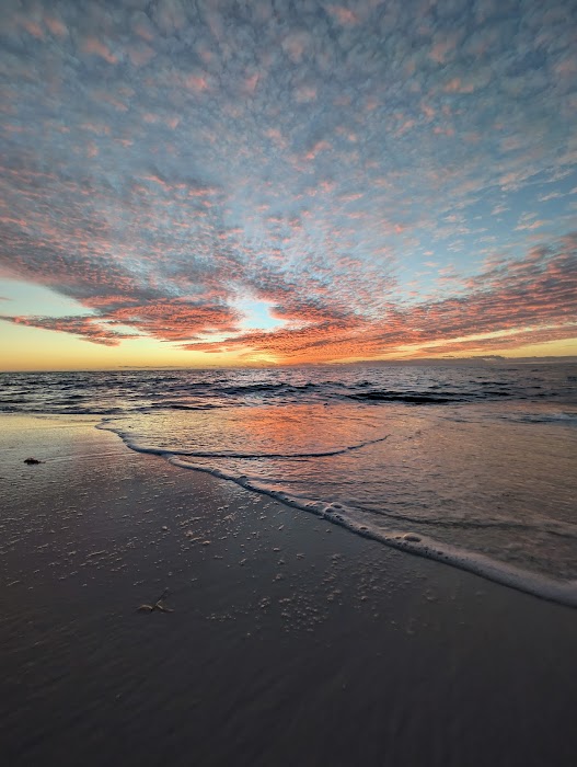 Clam Pass Park küçük fotoğraf 4