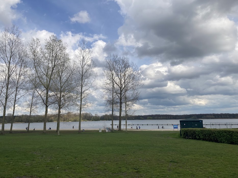 Kralingse bos parkrun Rotterdam küçük fotoğraf 3