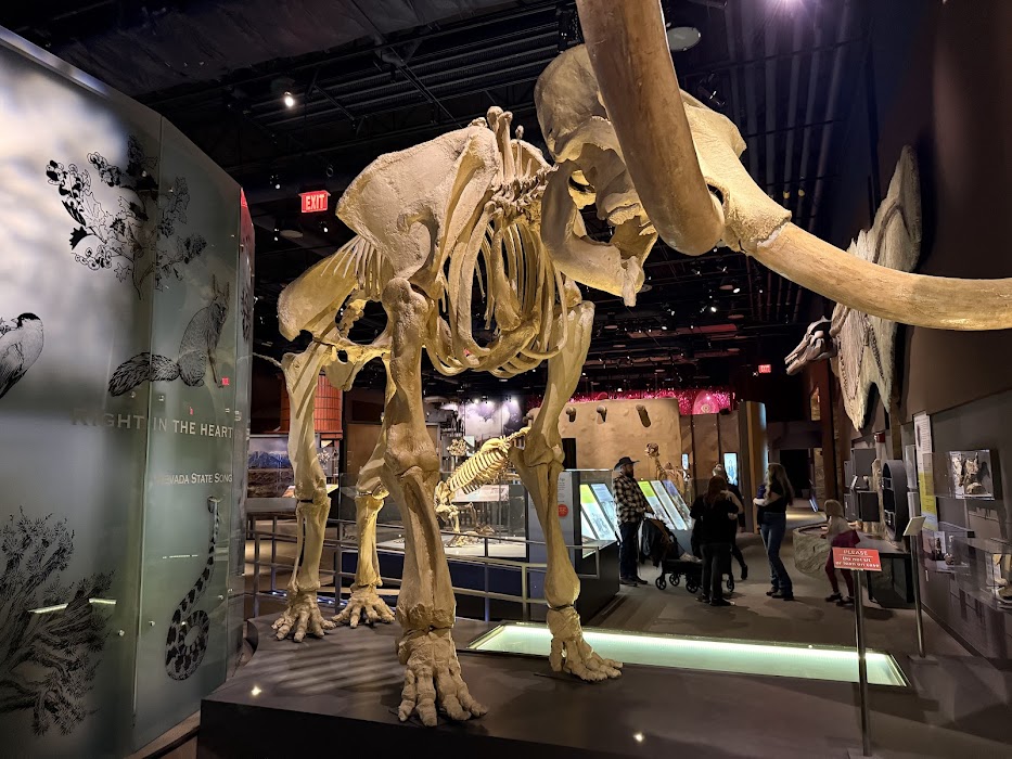 Nevada State Museum, Las Vegas küçük fotoğraf 2