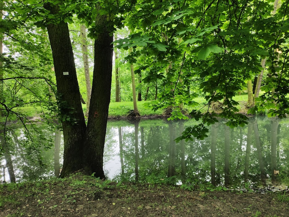 Park w Królewskiej Dolinie küçük fotoğraf 3