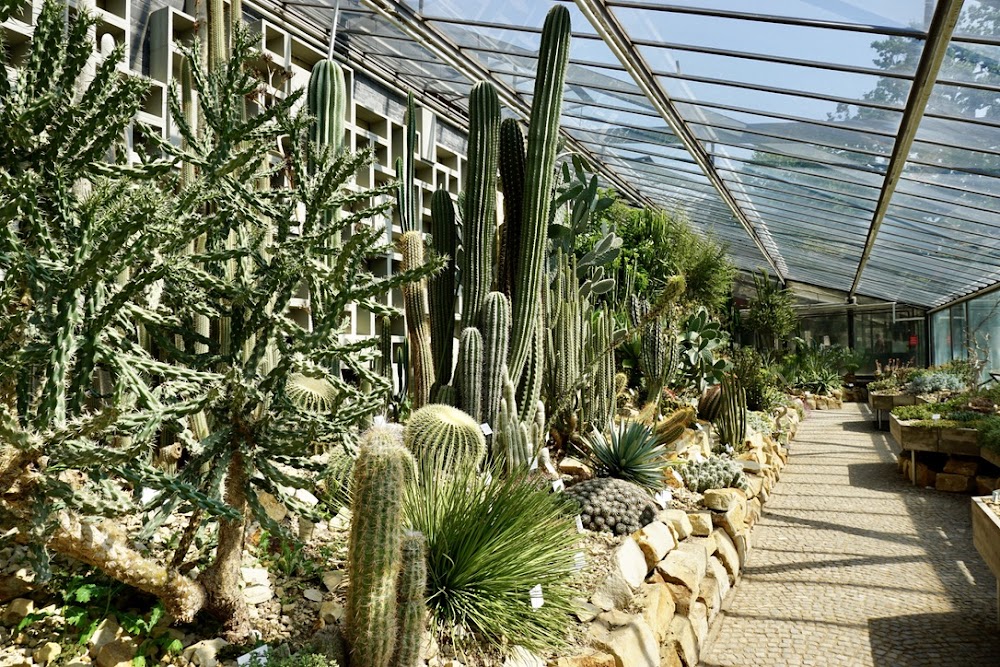 Alter Botanischer Garten küçük fotoğraf 3