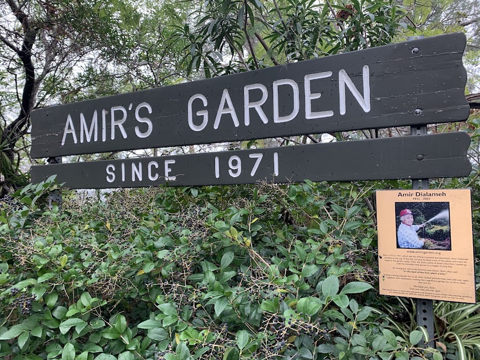 Amir's Garden küçük fotoğraf 2