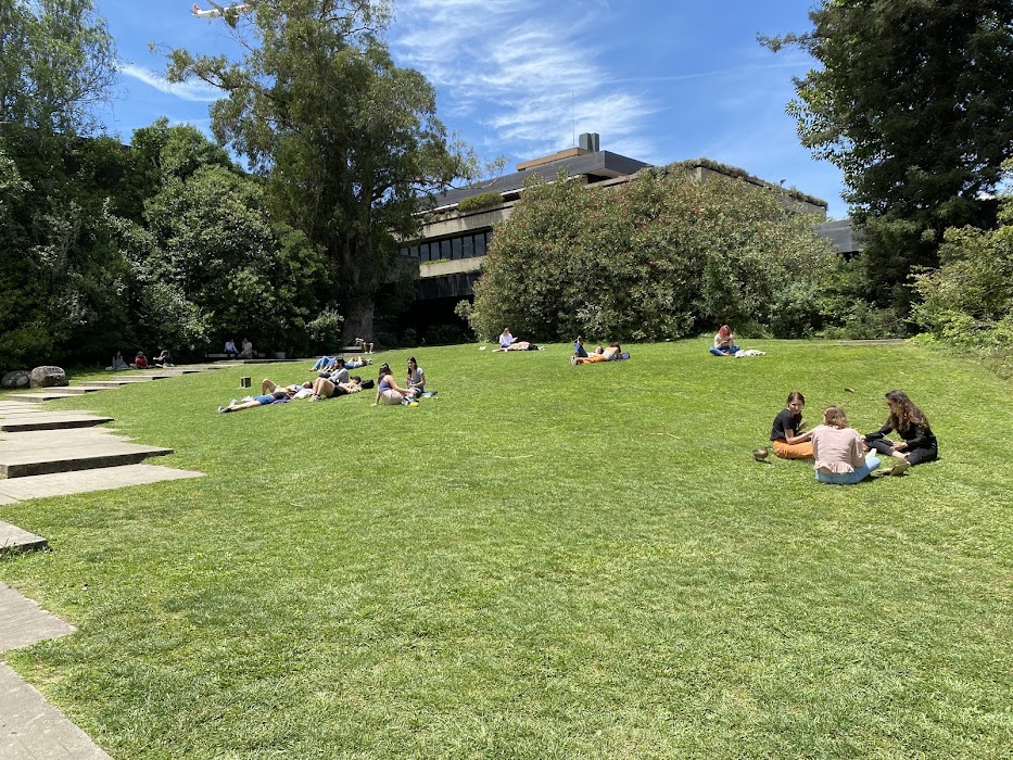 Jardim da Fundação Calouste Gulbenkian küçük fotoğraf 2