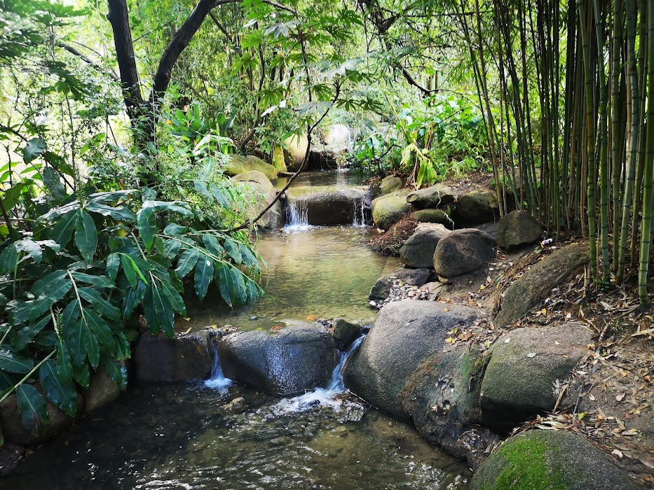 Jardim da Fundação Calouste Gulbenkian küçük fotoğraf 4