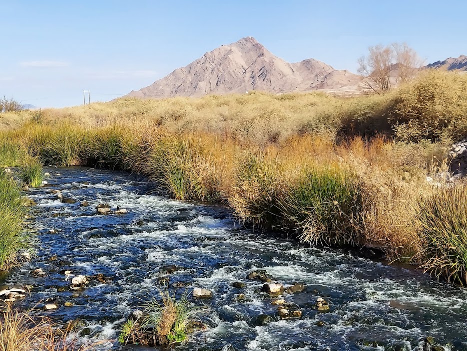 Clark County Wetlands Park küçük fotoğraf 3