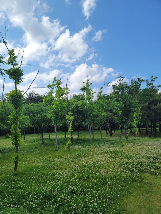Daegu Environmental Resource Park küçük fotoğraf 2