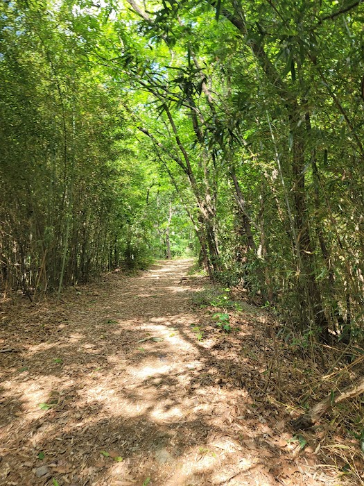 Daegu Environmental Resource Park küçük fotoğraf 3