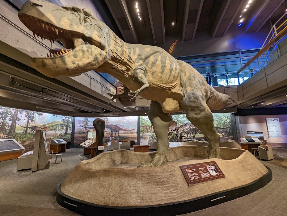 Museum of Science küçük fotoğraf 2