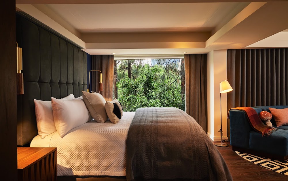 Campos Polanco küçük fotoğraf 3