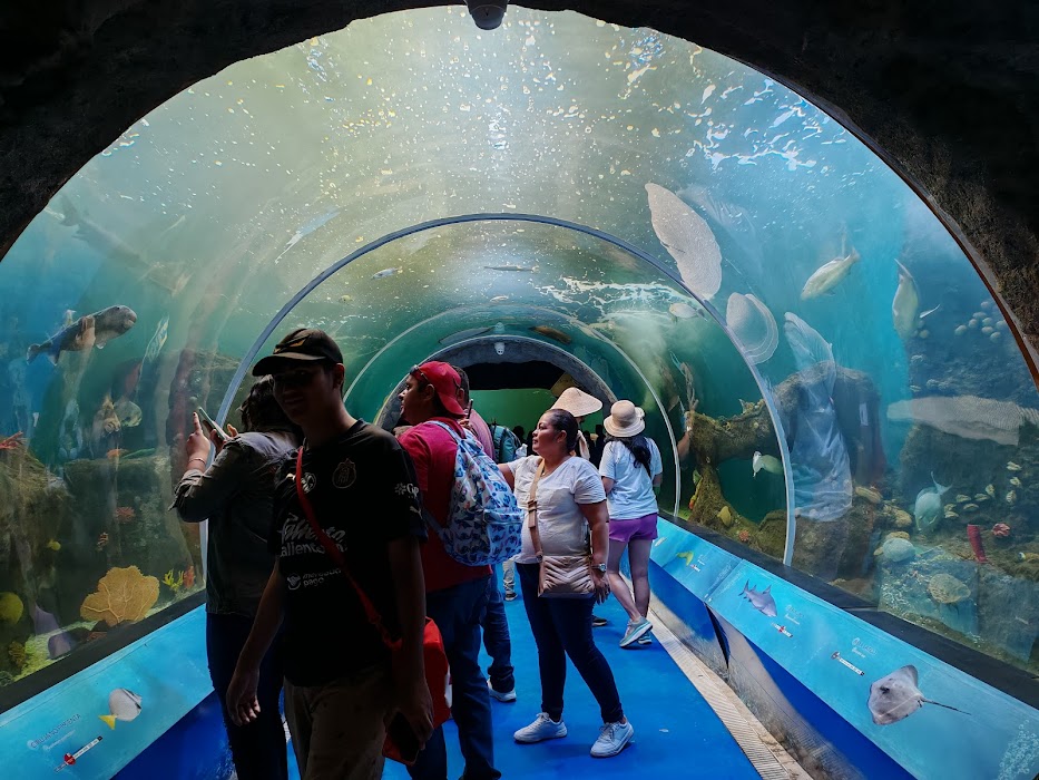 Zoológico Guadalajara küçük fotoğraf 3