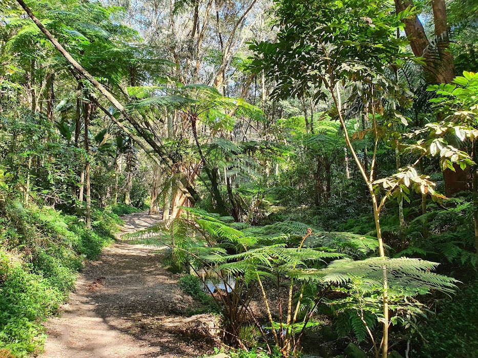 Cooper Park küçük fotoğraf 4