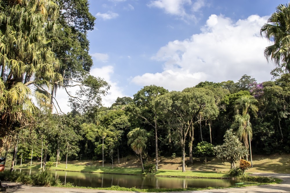 Jardim Botânico de São Paulo küçük fotoğraf 2