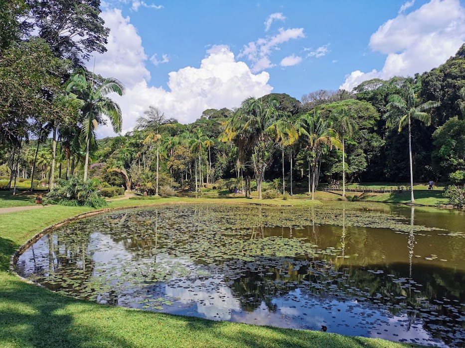 Jardim Botânico de São Paulo küçük fotoğraf 4