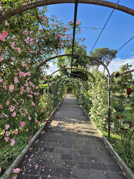 Roseto comunale küçük fotoğraf 3