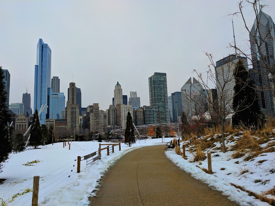 Maggie Daley Park küçük fotoğraf 4