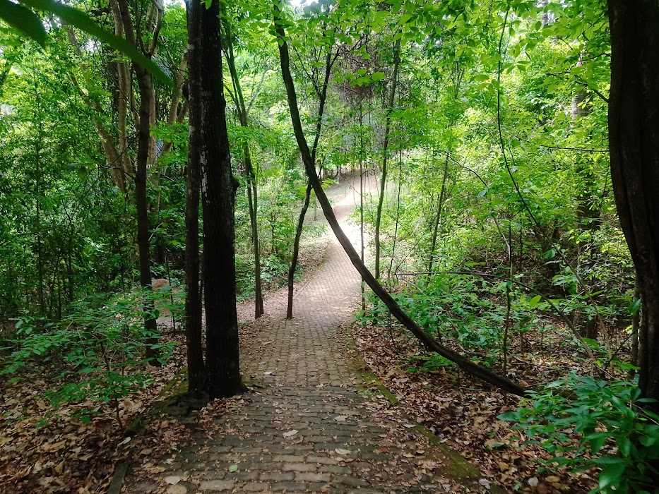 Parque Olhos d'Água küçük fotoğraf 3