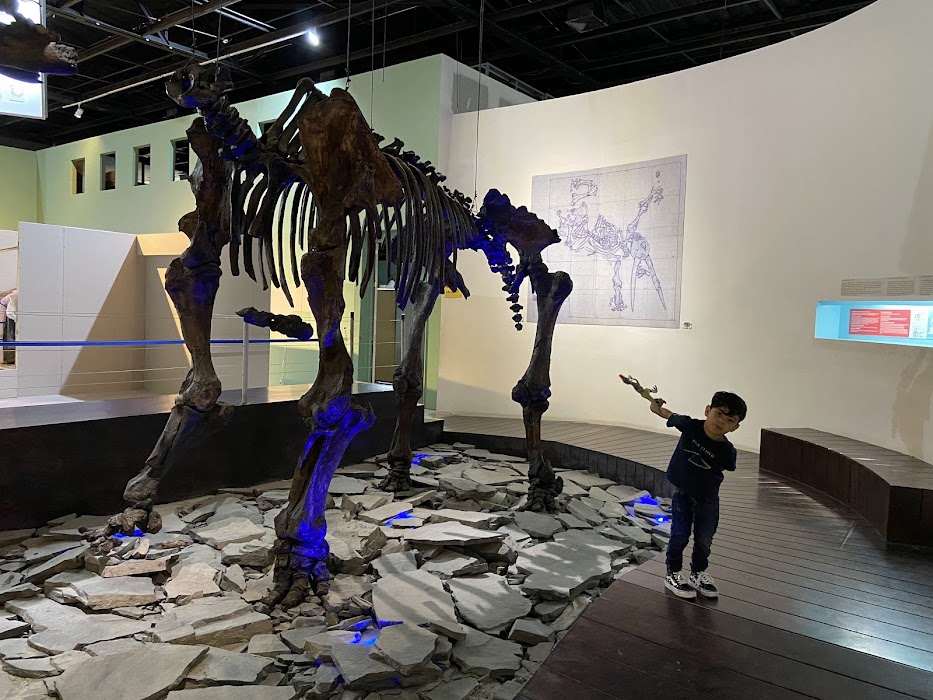 Museo de Paleontología de Guadalajara küçük fotoğraf 3