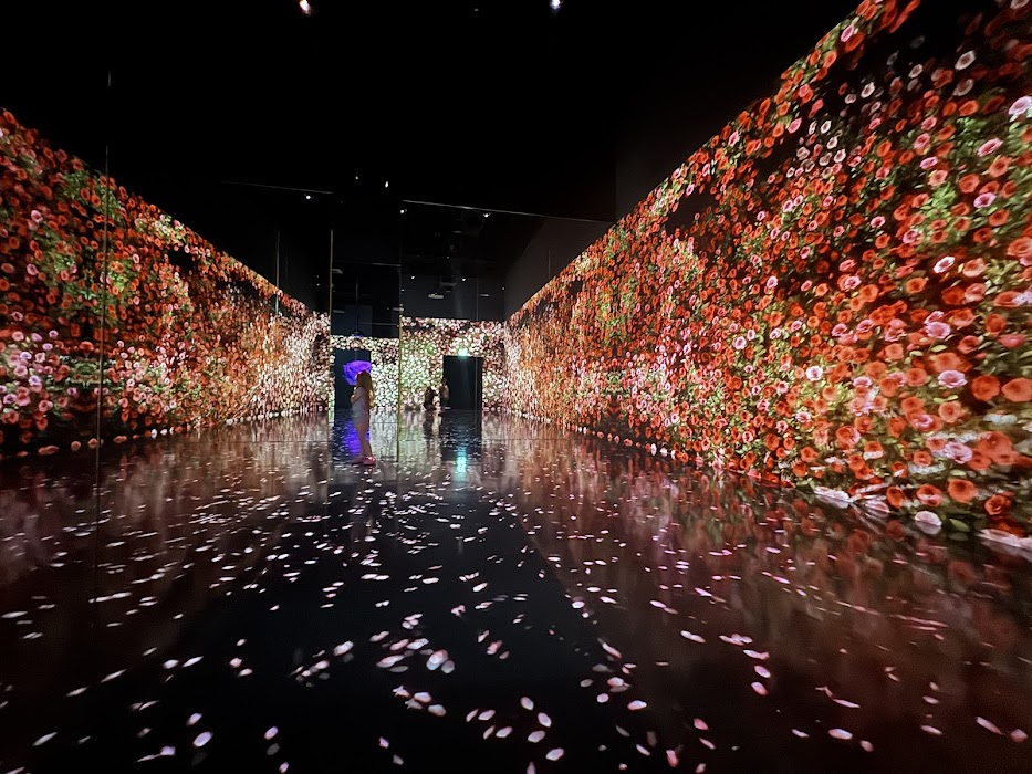 ARTE MUSEUM DUBAI küçük fotoğraf 3