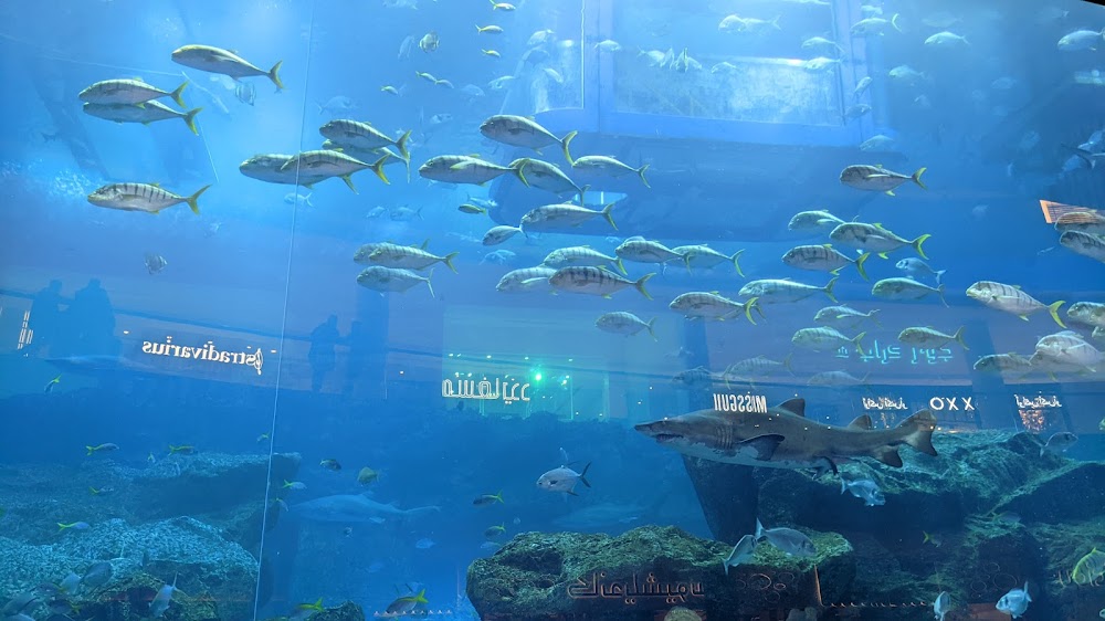 Dubai Mall Fashion Avenue küçük fotoğraf 4
