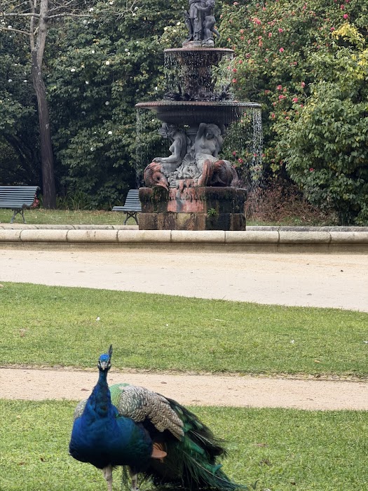 Palácio de Cristal küçük fotoğraf 3