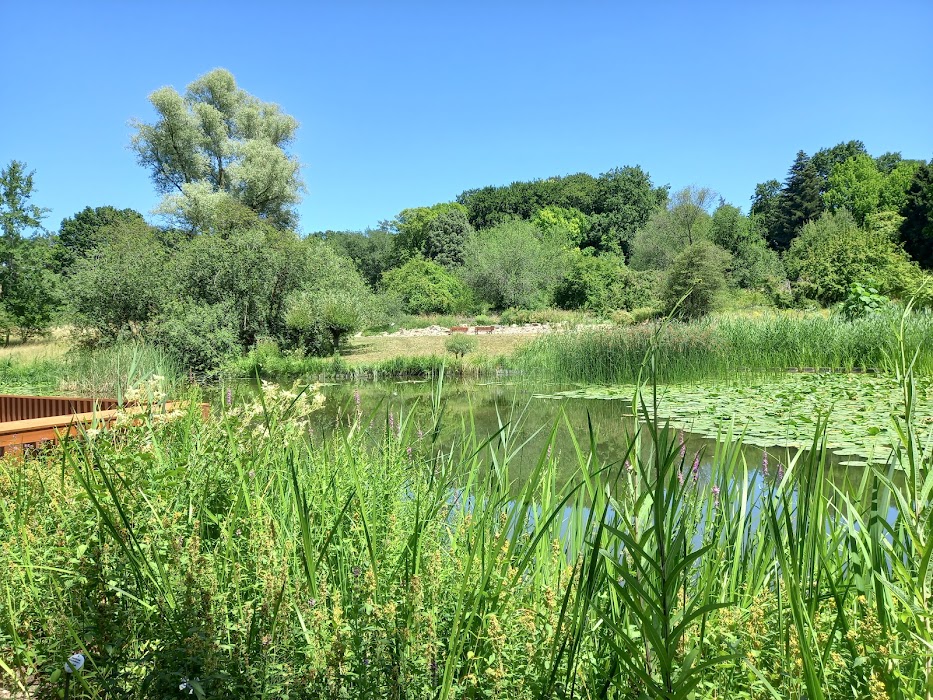 Botanischer Garten Frankfurt küçük fotoğraf 2