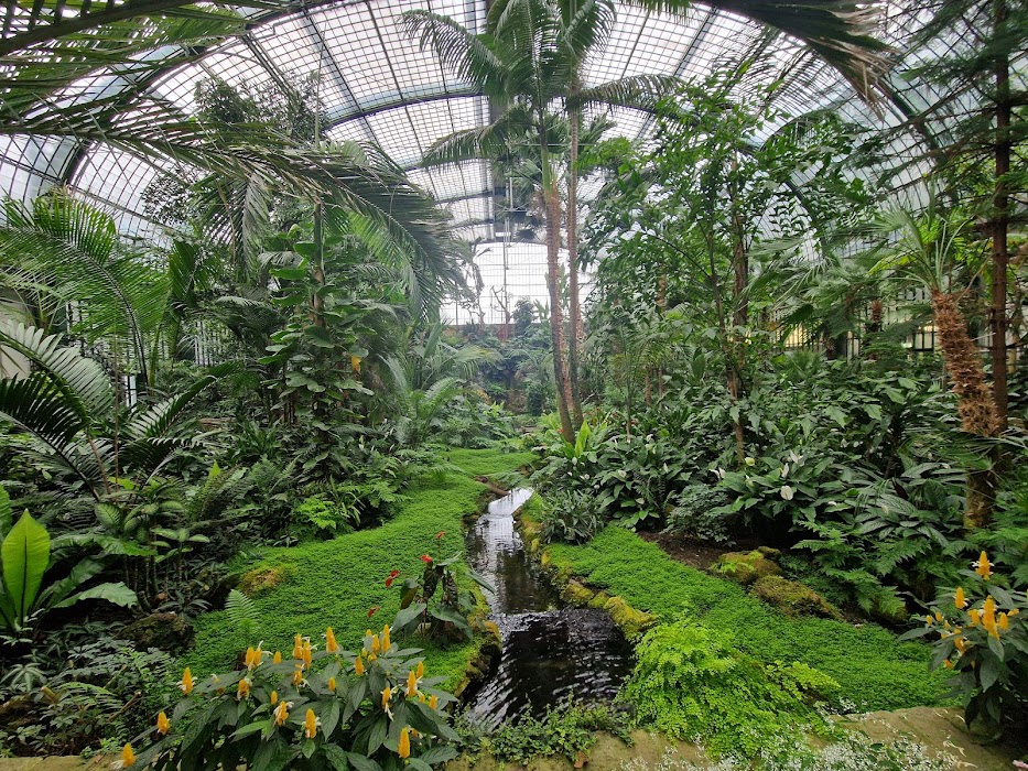 Botanischer Garten Frankfurt küçük fotoğraf 4