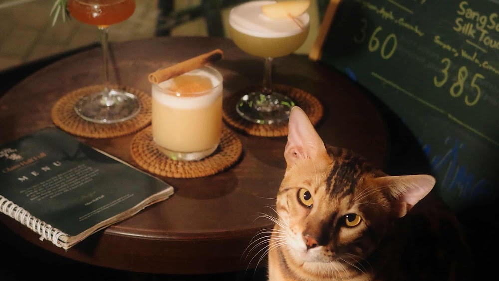 Glass Half Full Bar Yaowarat เยาวราช küçük fotoğraf 4