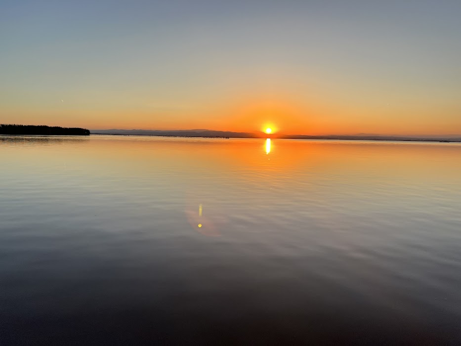 Parque Natural de la Albufera küçük fotoğraf 2