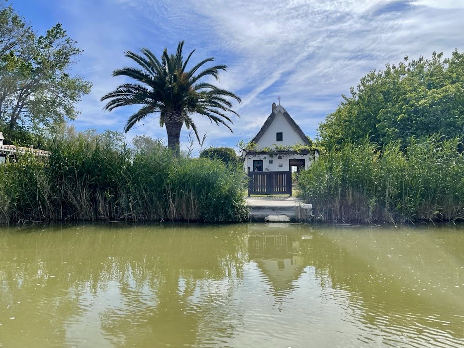 Parque Natural de la Albufera küçük fotoğraf 4