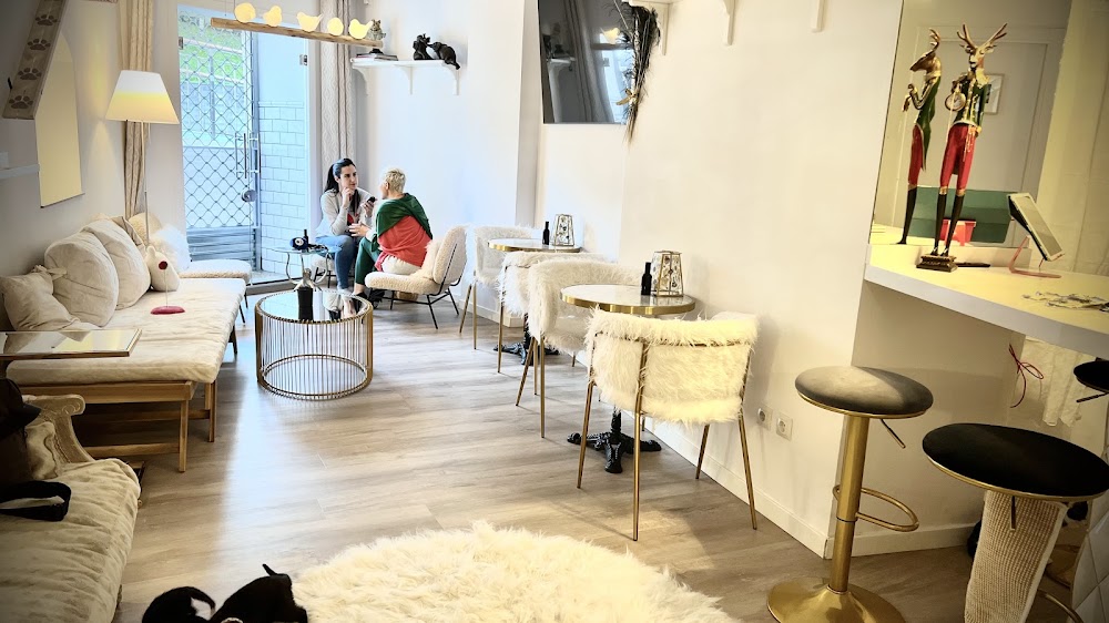 El Salon de Mi Casa küçük fotoğraf 2