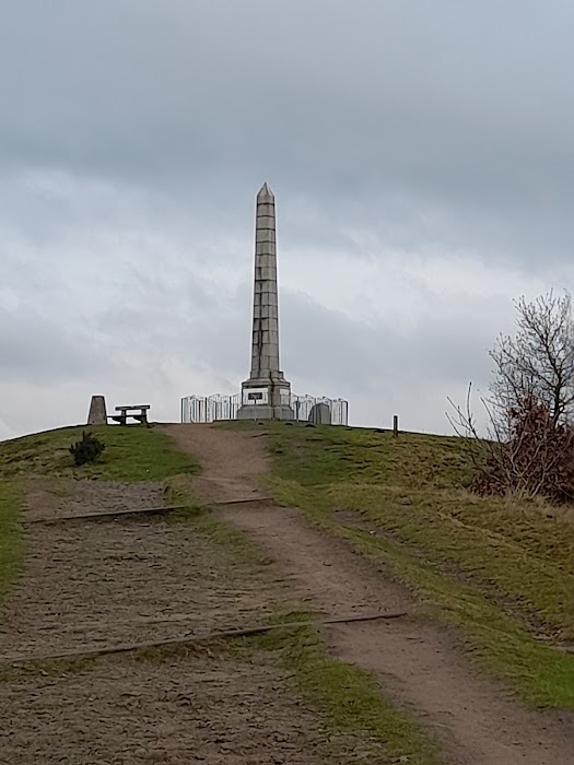 Tandle Hill Country Park küçük fotoğraf 4