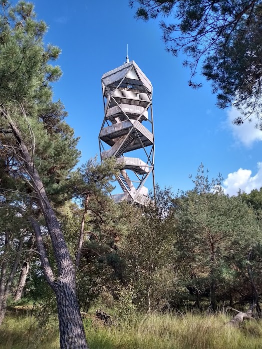 Grenspark Kalmthoutse Heide küçük fotoğraf 3
