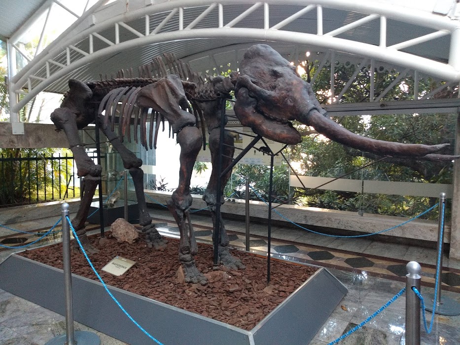 Museu Geológico da Bahia küçük fotoğraf 3