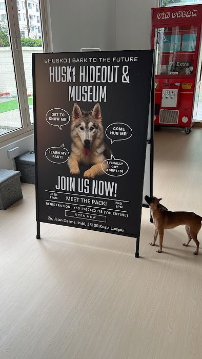 Husko Asia küçük fotoğraf 2