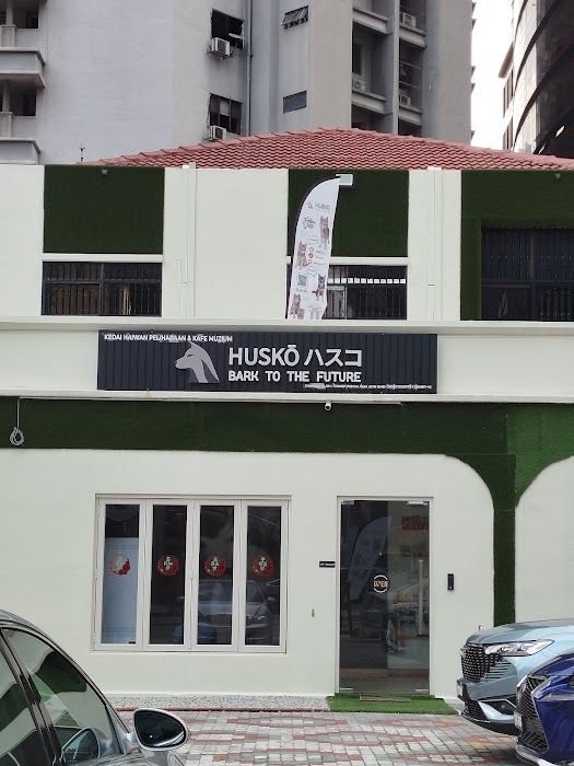 Husko Asia küçük fotoğraf 4