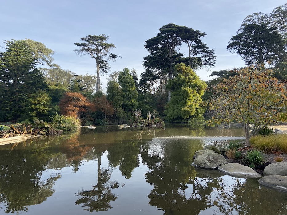 San Francisco Botanical Garden küçük fotoğraf 2