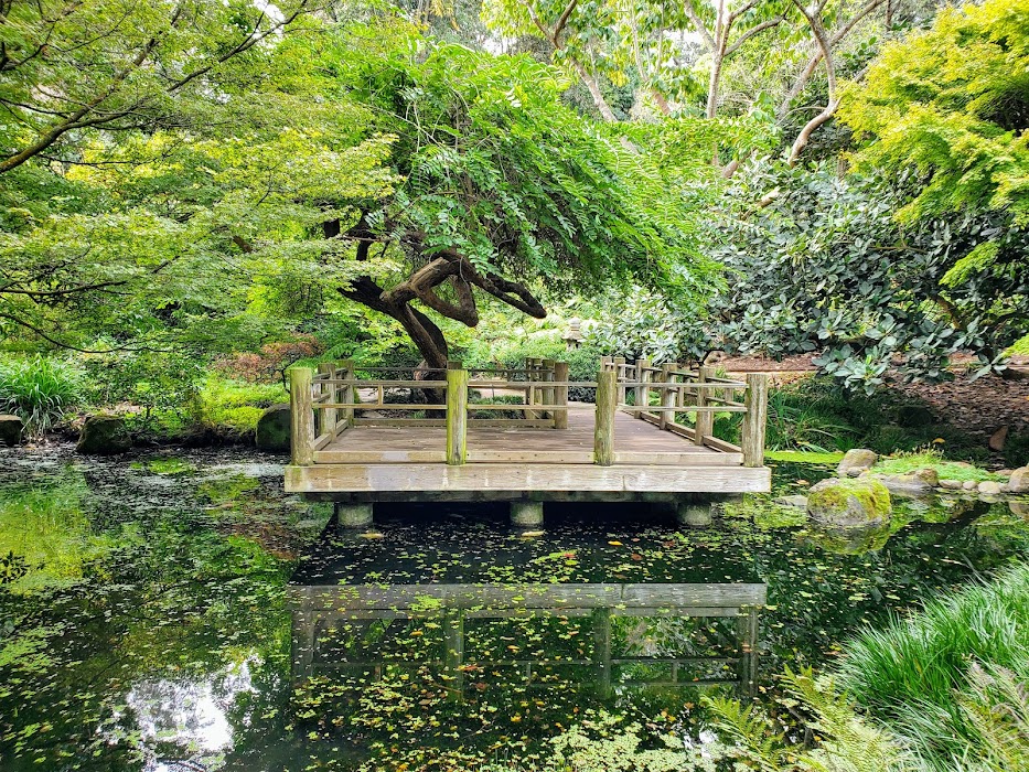 San Francisco Botanical Garden küçük fotoğraf 3